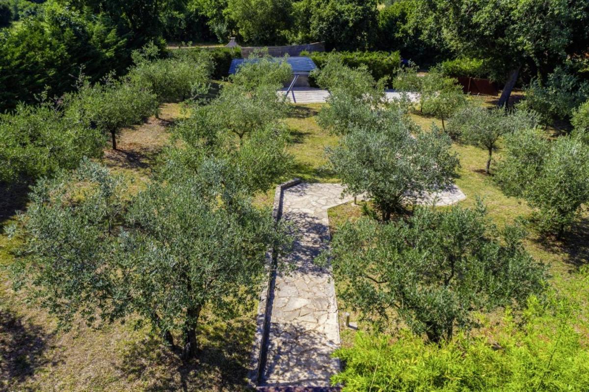 Istria Moderna In Muntić * Pula