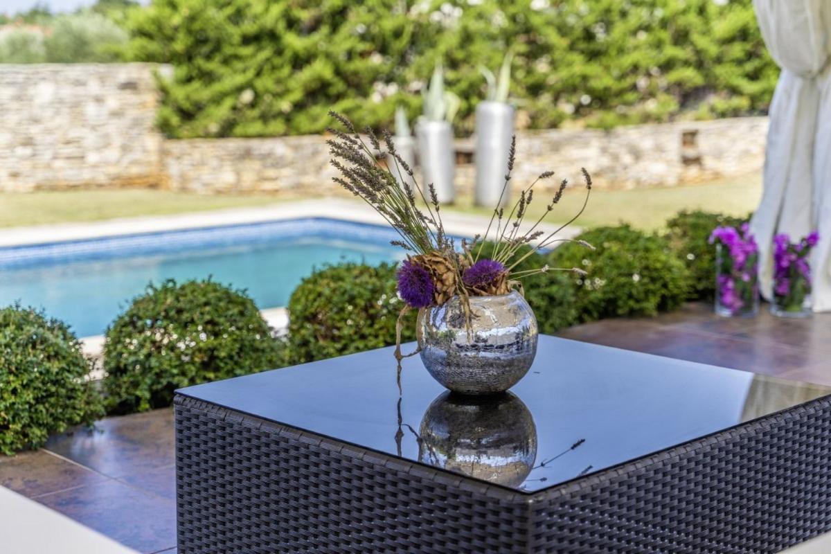 Villa Istria Moderna In Muntić *